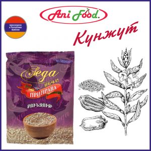 Кунжут